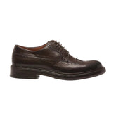 Exton Stringate Uomo Castagno