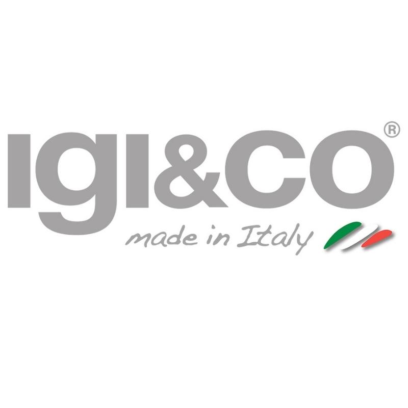 Igi&Co